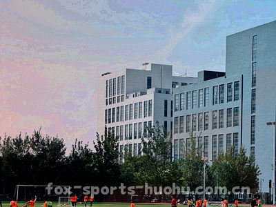 火狐体育赛事规则说明面板与数据面板组合示意